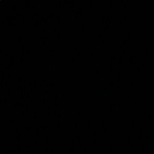 Meet your Posher, Abigail